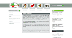 Desktop Screenshot of frlaserco.biz